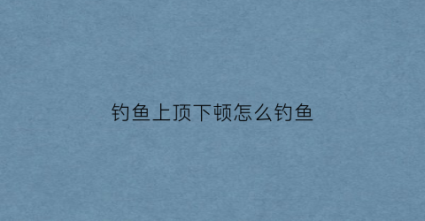 钓鱼上顶下顿怎么钓鱼(钓鱼上顶下顿怎么钓鱼视频)
