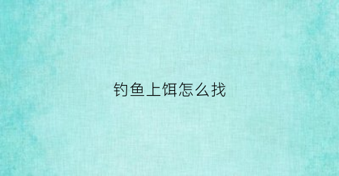 钓鱼上饵怎么找(钓鱼上饵料的方法)