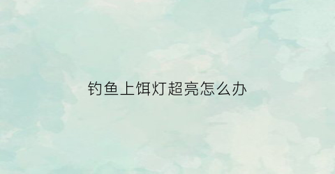 钓鱼上饵灯超亮怎么办(野钓上饵灯用哪种好)