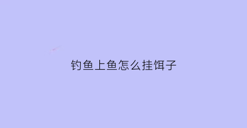 钓鱼上鱼怎么挂饵子(钓鱼怎么挂饵料视频教程)