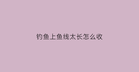 钓鱼上鱼线太长怎么收(钓鱼上鱼线太长怎么收回去)