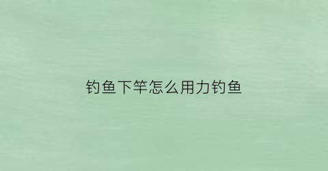 钓鱼下竿怎么用力钓鱼(钓鱼下杆之后为什么要压线)