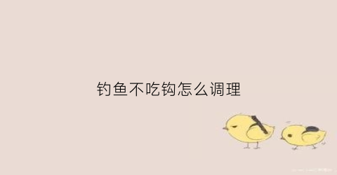 钓鱼不吃钩怎么调理(钓鱼大鱼不吃钩)