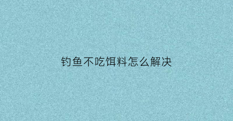 钓鱼不吃饵料怎么解决(野钓不吃饵料)
