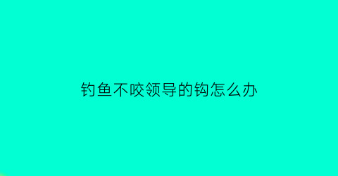 钓鱼不咬领导的钩怎么办(钓鱼不咬钩有什么好办法)