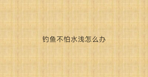 钓鱼不怕水浅怎么办(钓鱼人不怕冷)