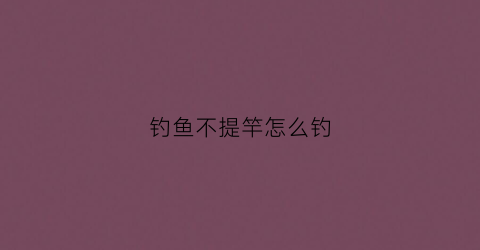 钓鱼不提竿怎么钓(不提竿能钓到鱼吗)