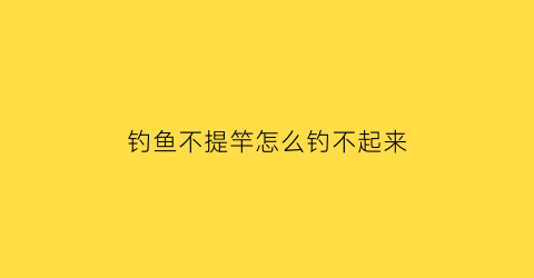 钓鱼不提竿怎么钓不起来