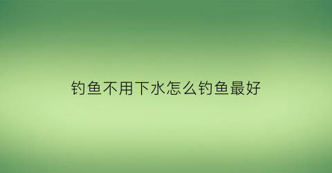 钓鱼不用下水怎么钓鱼最好