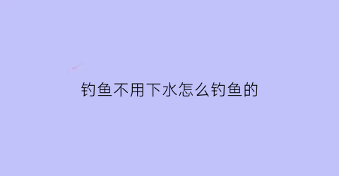 “钓鱼不用下水怎么钓鱼的(不用下水的捕鱼方法)