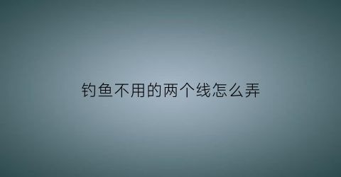 “钓鱼不用的两个线怎么弄(钓鱼不用杆是什么钓法)