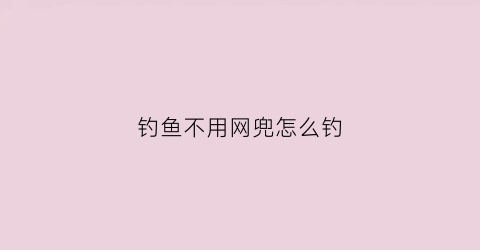 钓鱼不用网兜怎么钓(钓鱼不用钩用网怎么钓视频)
