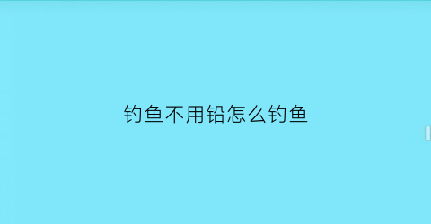 钓鱼不用铅怎么钓鱼(钓鱼不用铅皮怎么调浮漂)