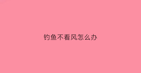 钓鱼不看风怎么办(钓鱼不钓风)