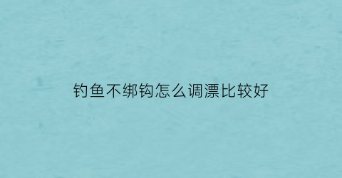 钓鱼不绑钩怎么调漂比较好(不挂鱼钩调漂)
