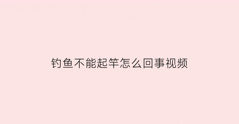 “钓鱼不能起竿怎么回事视频(钓鱼不能起竿怎么回事视频教学)