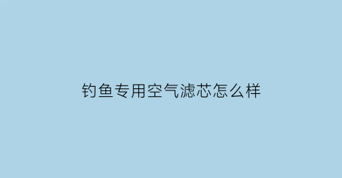 “钓鱼专用空气滤芯怎么样(钓鱼氧气泵哪个牌子好价格)