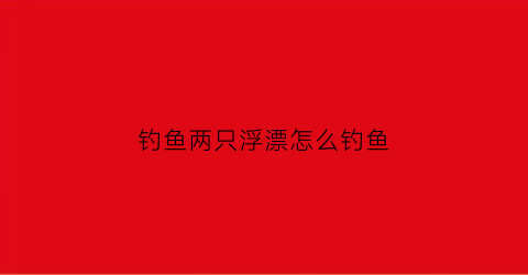 钓鱼两只浮漂怎么钓鱼(钓两条鱼)