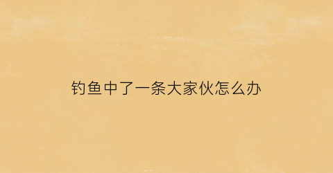 钓鱼中了一条大家伙怎么办(钓了一只鱼)