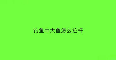 钓鱼中大鱼怎么拉杆(钓鱼的时候怎么拉杆)