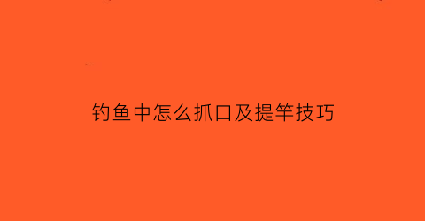 “钓鱼中怎么抓口及提竿技巧(钓鱼抓口是什么意思)