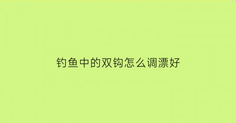 钓鱼中的双钩怎么调漂好(双钩鱼漂怎么调才是最佳效果)