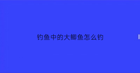 “钓鱼中的大鲫鱼怎么钓(大鲫鱼怎么钓有什么讲究)