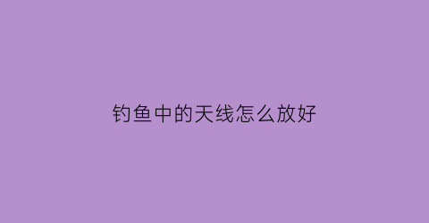 钓鱼中的天线怎么放好(钓鱼中的天线怎么放好一点)