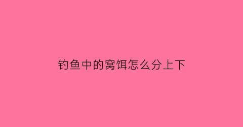 钓鱼中的窝饵怎么分上下