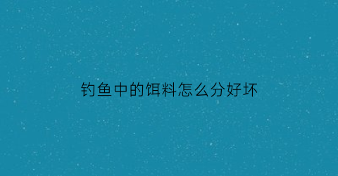 钓鱼中的饵料怎么分好坏(怎么区分饵料是什么类型)