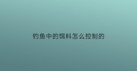 钓鱼中的饵料怎么控制的(钓饵怎么调最佳)
