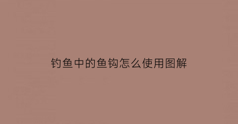 钓鱼中的鱼钩怎么使用图解(钓鱼中的鱼钩怎么使用图解法)