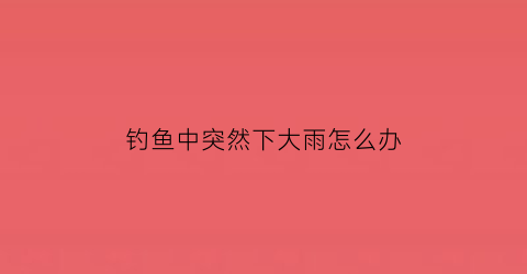钓鱼中突然下大雨怎么办(钓鱼中突然下大雨怎么办视频)