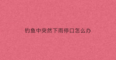 “钓鱼中突然下雨停口怎么办(钓鱼中突然下雨停口怎么办视频)