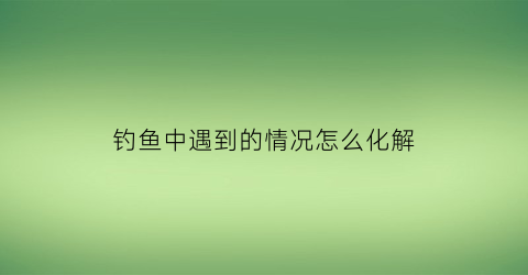 钓鱼中遇到的情况怎么化解(遇到钓鱼怎么办)