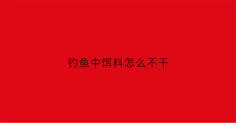 钓鱼中饵料怎么不干(钓鱼中饵料怎么不干了呢)