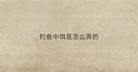 钓鱼中饵是怎么弄的(钓鱼饵料怎么搞)