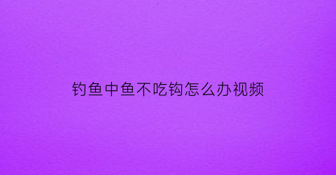 钓鱼中鱼不吃钩怎么办视频(钓鱼不吃钩怎么办野钓)