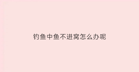钓鱼中鱼不进窝怎么办呢(有鱼不进窝)
