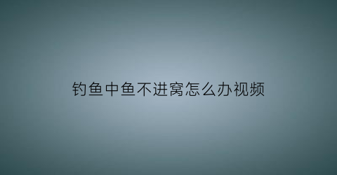 钓鱼中鱼不进窝怎么办视频(钓鱼中鱼不进窝怎么办视频讲解)