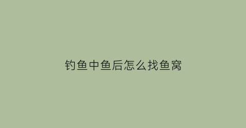 钓鱼中鱼后怎么找鱼窝(教你3个钓鱼小技巧迅速找到鱼窝上鱼再也不用愁了)