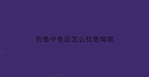 钓鱼中鱼后怎么找鱼窝呢(钓鱼中鱼后怎么找鱼窝呢视频)