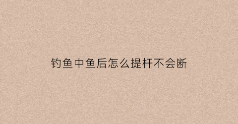 钓鱼中鱼后怎么提杆不会断(钓鱼怎么提竿才能让鱼不脱口)