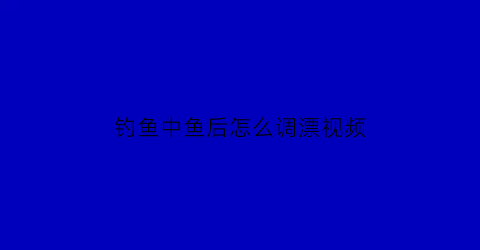 钓鱼中鱼后怎么调漂视频(钓鱼中鱼后怎么调漂视频讲解)