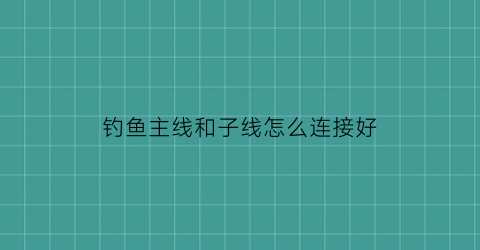 “钓鱼主线和子线怎么连接好(钓鱼的主线与子线的连接方式有哪些方法)