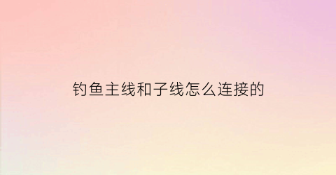 钓鱼主线和子线怎么连接的(钓鱼主线和子线和鱼钩怎么搭配)