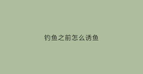 钓鱼之前怎么诱鱼