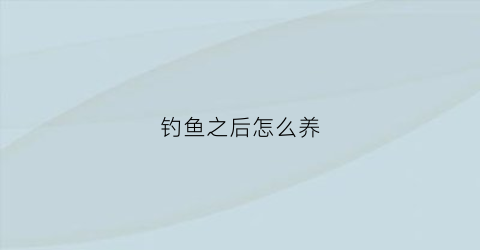 钓鱼之后怎么养(钓鱼拿回家怎么养活)