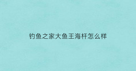 “钓鱼之家大鱼王海杆怎么样(大鱼王鱼钩怎么样)