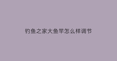 钓鱼之家大鱼竿怎么样调节(钓鱼之家的鱼竿哪里代工的)
